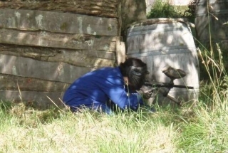  Under cover 